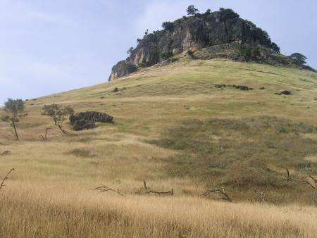 la tontouta